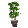 thumbnail image 1 of Vintage Home Artificial Faux Real Touch 58" Tall Fan Palm Tree With Burlap Kit And Fiberstone Planter, 1 of 3