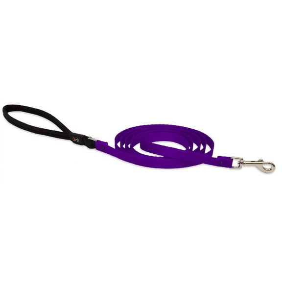 LupinePet Basics 1/2" Purple 6-foot Padded Handle Leash for Small Pets