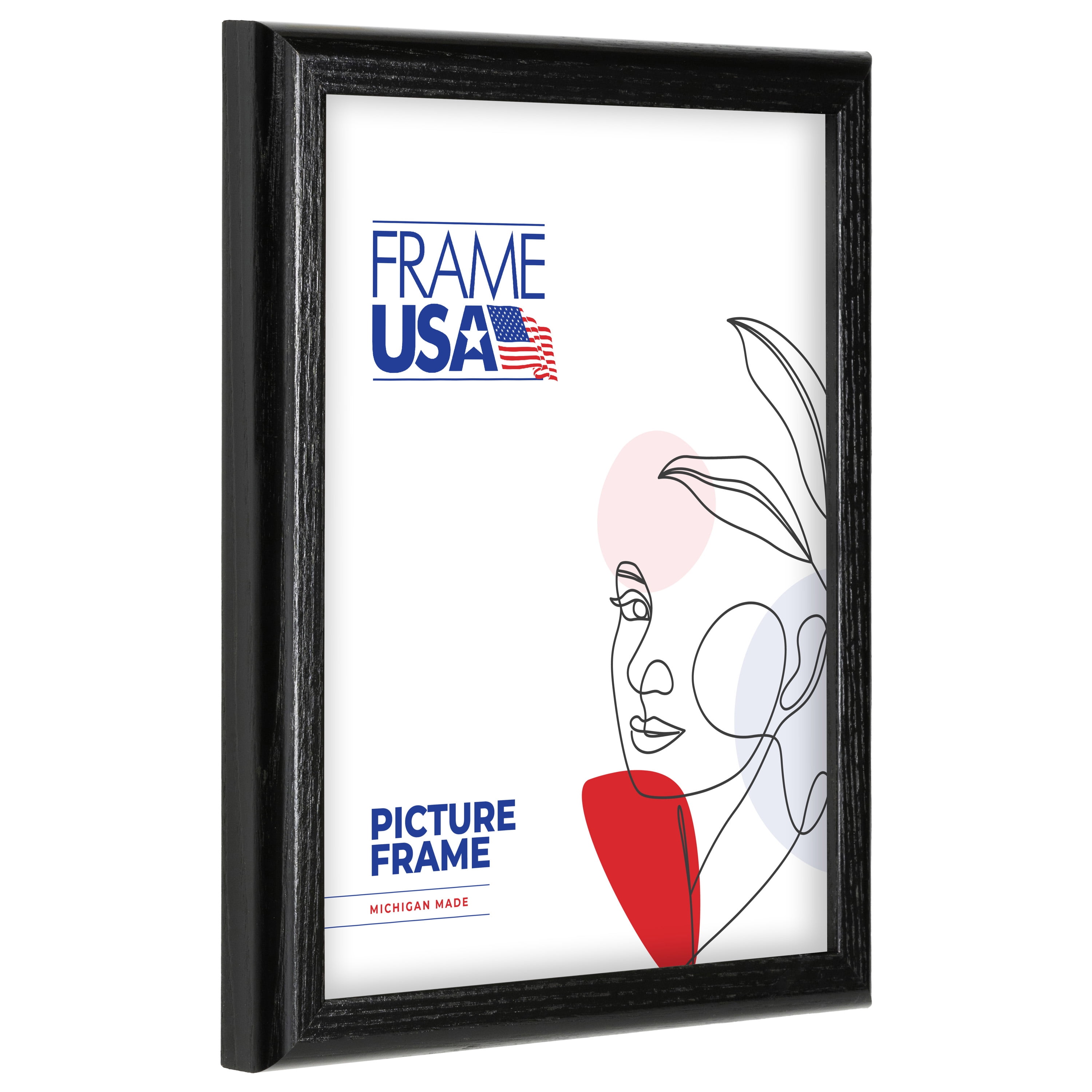18x24 Picture Frame – Black Economy Wood Style 876-881-03400, 0.75 Inch Wood Moulding, Includes Plexiglass and Backing –&nbsp;Wall Display Frame for Art, Posters, or Photos – Frame USA