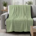 thumbnail image 2 of Vintage Sage Green Blanket Soft Cozy Warm Throw Blanket for Couch, Plush Fuzzy Flannel Fleece Blankets for Sofa, Farmhouse Retro Beige Solid Color Bed Blankets Lightweight Gifts for Women, 40"x50", 2 of 9