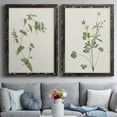 thumbnail image 7 of Wispy Botanical I - Premium Framed Canvas 2 Piece Set - Ready to Hang, 7 of 7