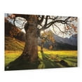 thumbnail image 1 of Epic Art 'The Star' by Martin Podt, Acrylic Glass Wall Art, 36"x24", 1 of 5