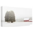 thumbnail image 2 of Aledanda 'Winter Farm' Canvas Art, 2 of 4