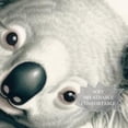 thumbnail image 3 of Koala Elegant Chiffon Silk Scarf for Women - Lightweight Breathable Wrap Shawl 70.86"x28.7, 3 of 6