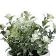 thumbnail image 4 of Mainstays 7.5” Artificial Eucalyptus and Flower in White Ceramic Pot Made for Tabletops – 1.1 lbs, 4 of 12