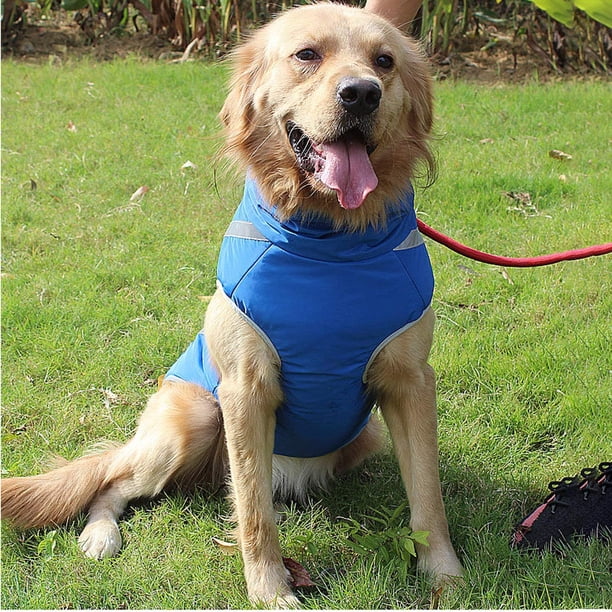 Abrigo impermeable para perros, chaqueta para perros, ropa para perros de talla mediana/grande (azul, 4XL)