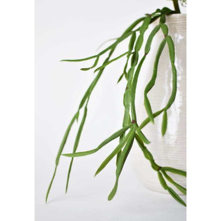 23" Faux Hanging Pencil Cactus Succulent Bush