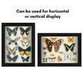 thumbnail image 4 of Americanflat 8.5" x 11"Shadow Box Frame with Shatter-Resistant Glass - Large Shadow Box Display Case for Tabletop and Wall Display - Black, 4 of 8