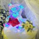 thumbnail image 5 of 20 cm LED Light Up Bear Colorido Corazón Rojo Oso Cute Noche de oso Noche de San Valentín Aniversario Anniversary Birthdy Christmas Gift, 5 of 8