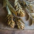thumbnail image 4 of Renaissance Autumn Artificial Dried Flower and Plants, 4 of 12