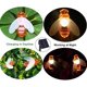 thumbnail image 2 of Guirnaldas de luces alimentadas por energía Solar 30led impermeable al aire libre simulación abejas decoración para jardín decoraciones de Navidad, 2 of 5