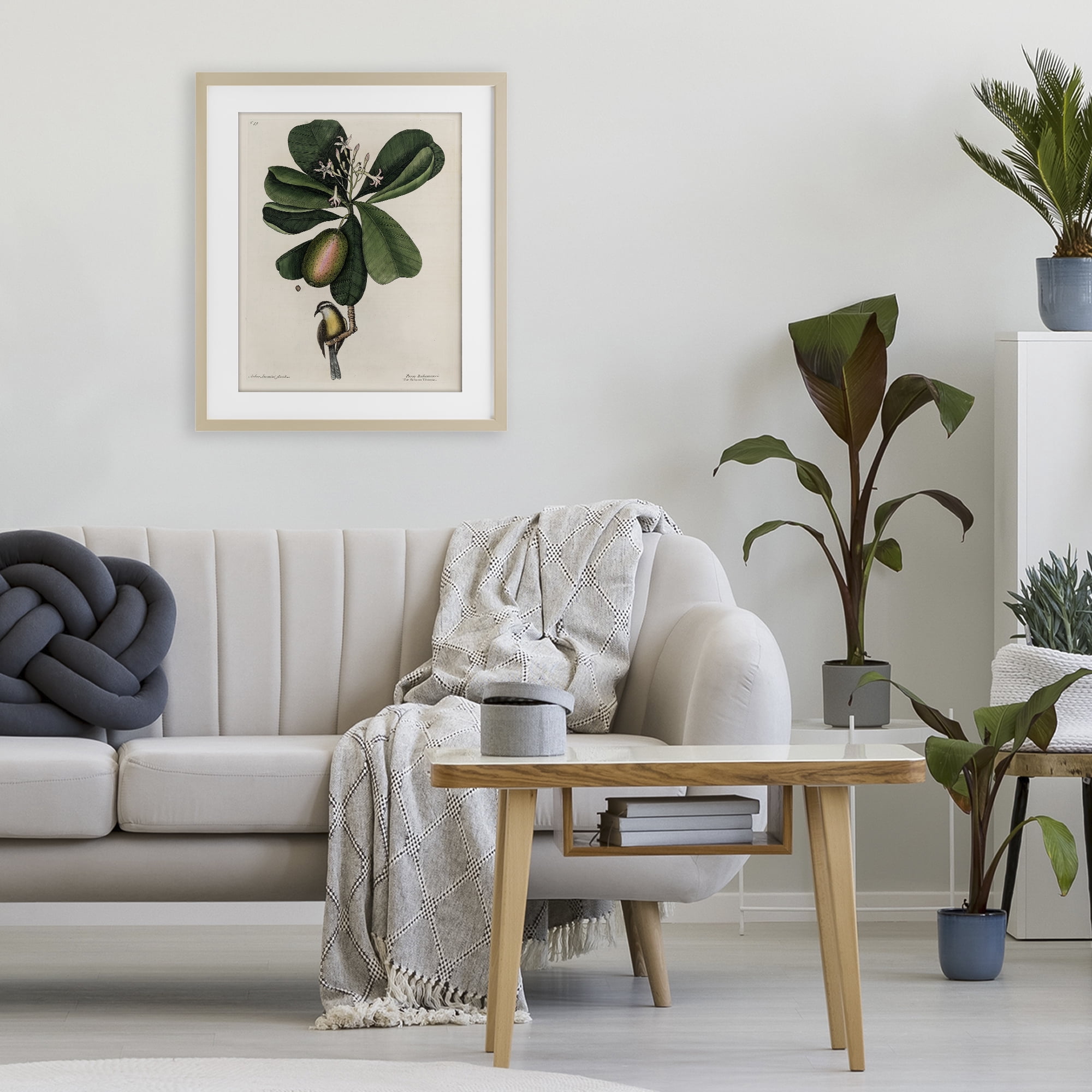 Stupell Industries Catesby Flora & Fauna Birch Framed Print Under Glass, design by Print Collection