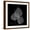 Brown Frame, variant on Art.com Xray Bo Tree Art Print by Albert Koetsier, Brown Frame Wall Art, 29" x 29"
