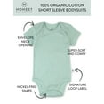 thumbnail image 3 of Honest Baby Clothing Baby Boy or Girl Gender Neutral Organic Cotton Short Sleeve Bodysuits, 3 Pack (Preemie-24 Months), 3 of 7
