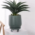 thumbnail image 5 of Soucoupe pour Plantes à 5 Roues, Plateau d'Égouttement Mobile pour Pot de Fleurs Rond, 5 of 5