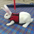 thumbnail image 2 of Pet Mesh Soft Harness With Leash Small Animal Vest For Hamster Rabbit Bunny，pink, 2 of 4