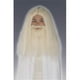 Costumes For All Occasions Ru50943 Gandalf Perruque et Barbe – image 1 sur 1