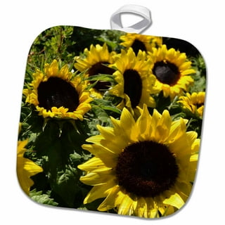 Sunflower Field Oven Mitt + Pot Holder Set – Sincerely Yours