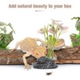 thumbnail image 3 of unbranded Adornos De Artificiales Para De Peces Y Reptiles Fácil Instalación Y Resistente, 3 of 6