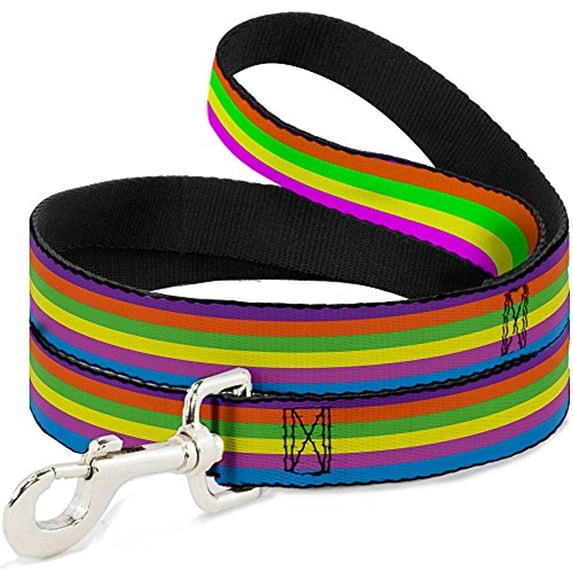 Buckle-Down "Stripes Purple Orange Green Yellow with Pink Blue" Dog Leash