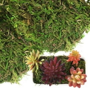 Fake Moss For Plants Indoor Green Decorating Wall Terrarium