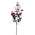 thumbnail image 1 of Vickerman FH190565 36 in. Burgundy Money Leaf Spray, 1 of 5