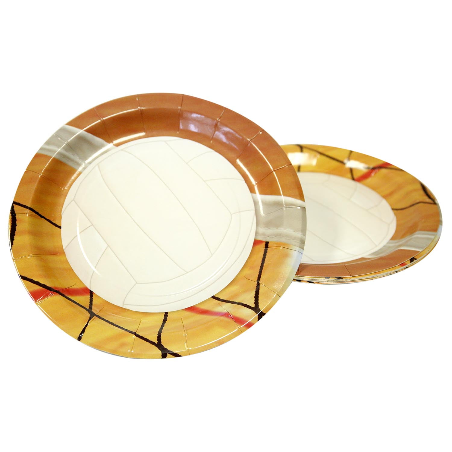 Volleyball essay 9 image