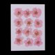 thumbnail image 3 of 12 Piezas Hermosas Flores Secas De Invierno Real Prensadas Flores Secas Para Arte Artesanía Scrapbooking Resina Joyería Artesanía Fabricación Caja Del rosa claro perfecl Flores secas prensadas reales, 3 of 8