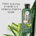 thumbnail image 4 of Herbal Essences bio:renew Bamboo + Potent Aloe Sulfate Free Shampoo Strength, 4 of 9