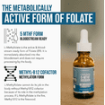 thumbnail image 4 of Methylfolate & B12 Liquid Supplement – 60ml Vitamin Support for Overall Health, 60 Capsules, Makeup Organizers, 4 of 4