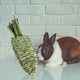 thumbnail image 3 of Hámster, Conejos, Masticables, Juguete, Agua, , Molienda, Mascota Hecha para Jugar, 3 of 8