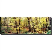 Trademark Art "Trees" Canvas Art by Preston