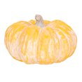 thumbnail image 2 of Miangastore Thanksgiving Ceramic Pumpkin Decor Fall Harvest Pumpkin Ornament Photo Prop, 2 of 8