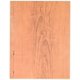 thumbnail image 2 of Papel artesanal Roylco Terrific Tree (32 hojas), 2 of 2