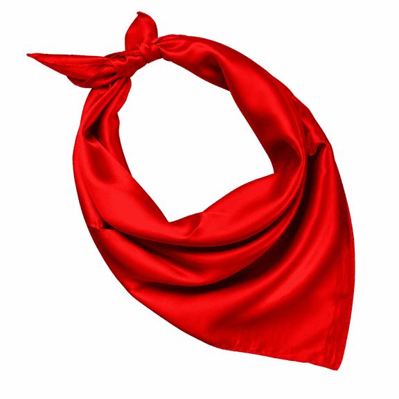 FLORNIX Women Lady Solid Color Wrap Scarf Fashion Accessory (Red)