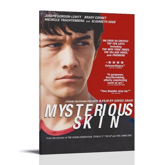 Mysterious Skin Posters & Prints Family Wall Decor Wall Art Canvas Painting Film Festival