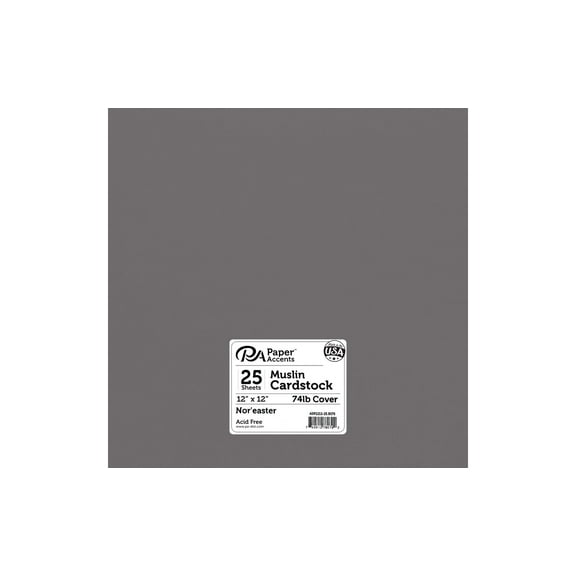 Paper Accents Cardstock 12"x 12" Muslin 74lb Nor'easter 25pc
