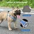 thumbnail image 3 of Dog Harness with Leash Set, No Pull Adjustable Step in Dog Collars Harness with Breathable Padded Vest for Small Medium Large Training and Running(XS, Blue), 3 of 8