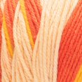 thumbnail image 3 of Red Heart® All In One Flower Power™ #4 Worsted (Medium) Acrylic Yarn, 8.8oz/250g 417 Yards, 3 of 5