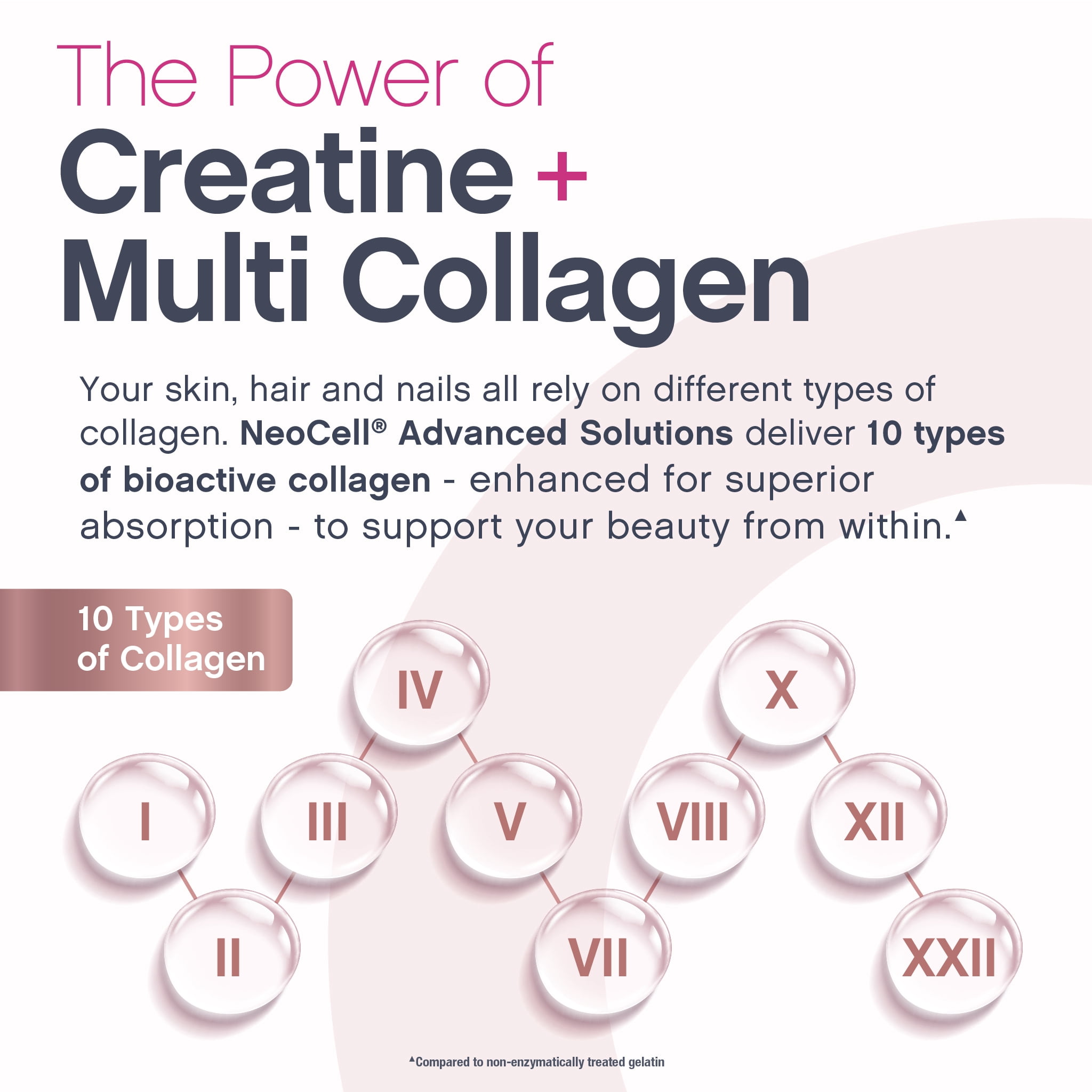 NeoCell Collagen Powder with Creatine for Beauty Support and Energy, 10 oz