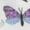 Butterfly, variant on Dr.Scholl's Women's Graduated Compression Socks, 1 Pack