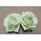 thumbnail image 1 of Peineta de franela con rosas Accesorios para el cabello Accesorios para el cabello con rosas dobles, 1 of 6