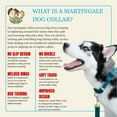 thumbnail image 6 of Country Brook Petz® 1 1/2 inch Light Cyan Martingale Heavyduty Nylon Dog Collar, Large, 6 of 7