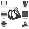 thumbnail image 5 of TEQUAN Large Dog Harness with Leash, Cartoon Cars Animals Driver Prints Reflective No Pull Adjustable Pet Vest(L), 5 of 7