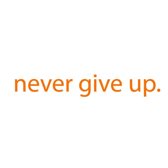 Never Give Up Motivational Quote - Wall Art Decal - 2" x 18" Decoration Sticker - Life Quote Decal - Over The Door Vinyl Sticker - Peel Off Vinyl Decals (Orange)