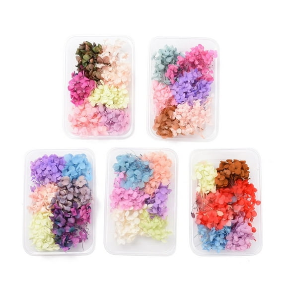 Dried Flowers DIY Candle Soap Making Accessories with Plastic Rectangle Box Mixed Color 5.3~7x5.2~7cm