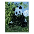 thumbnail image 2 of Royal Paint By Number Kit Artist Canvas Series 9"X12"-Panda, 2 of 2