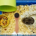thumbnail image 3 of Miangastore 2PCS Hamsters Grooming Brush: Soft Bristles Small Pet Bathing and Cleaning Brush Tool with Wood Handle for Guinea Pigs Rabbits and Small Animals, 3 of 8
