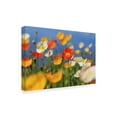 thumbnail image 2 of Trademark Fine Art 'Days In The Sun' Canvas Art by Beata Czyzowska Young, 2 of 3
