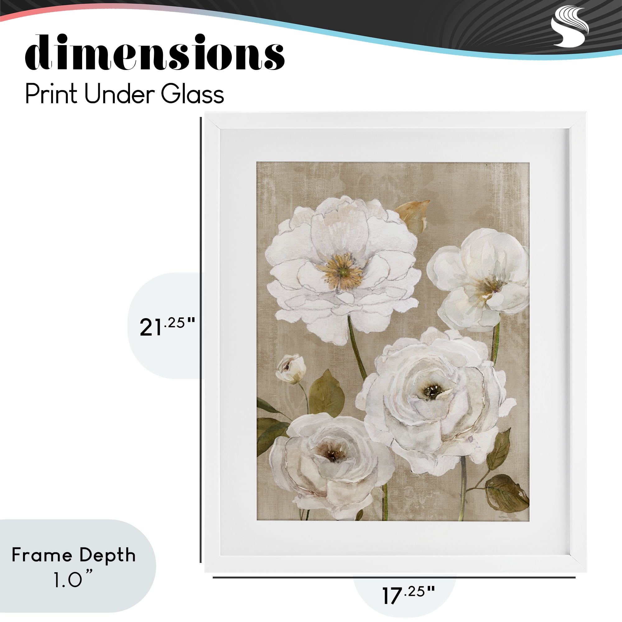 Stupell Industries Rustic Blooms in White White Framed Print Under Glass, design by Carol Robinson